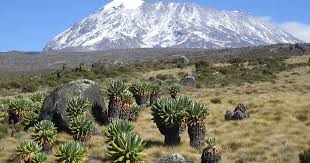 Mount Kilimanjaro Trek – Marangu Route